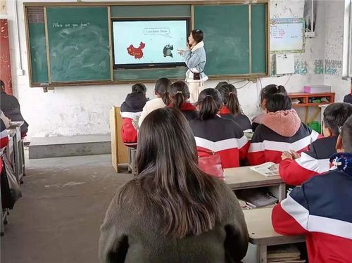 英语汇报 英语汇报