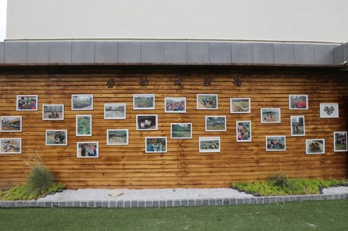 8少年农科院——立劳以树人之能 8少年农科院——立劳以树人之能