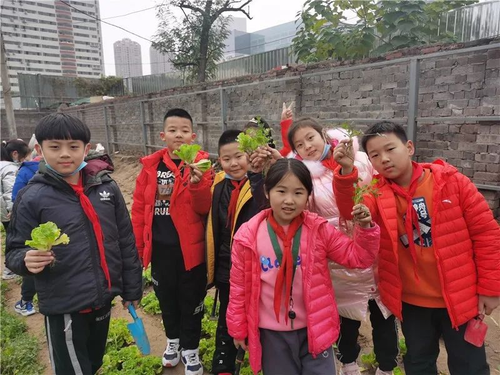 4学生劳动的身影成为附小靓丽的风景线 4学生劳动的身影成为附小靓丽的风景线