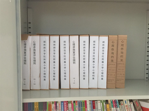 4规范的心理档案 4规范的心理档案