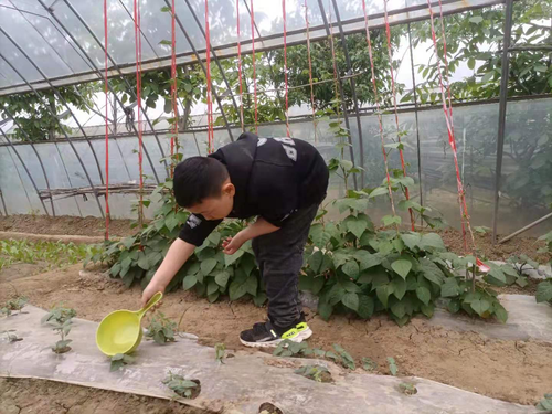 烈日下,留着汗水的你——最帅气! 烈日下,留着汗水的你——最帅气!