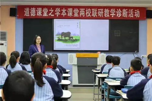 课例展示 课例展示