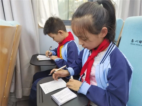 013.webp (1) 013.webp (1)